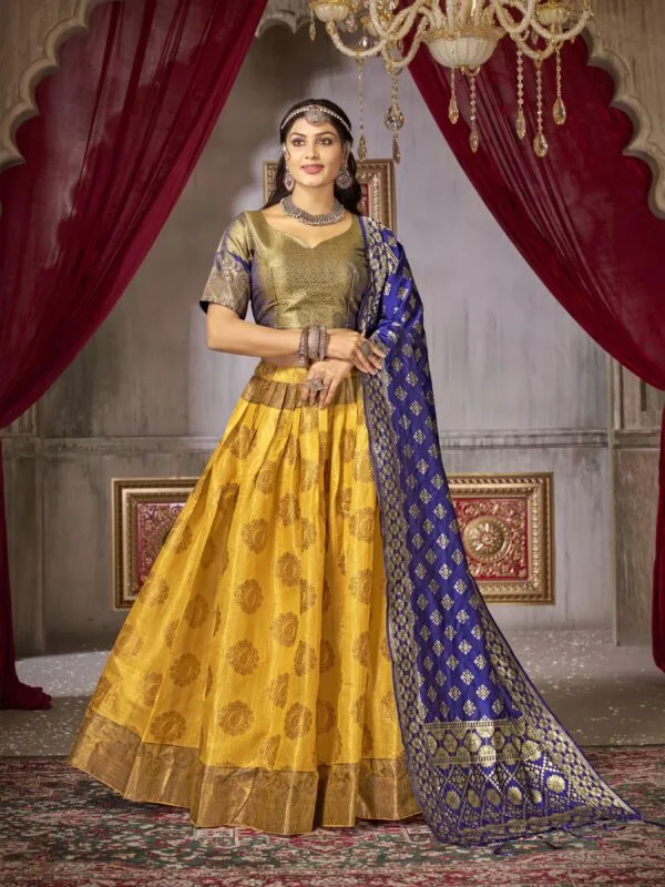 chinese dress ladies Handcrafted Women Lehenga Rayon Navratri Chaniya Choli main image 1