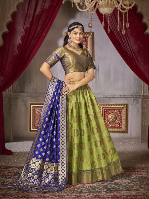 Traditional Women's Lehenga Choli Dupatta 1002