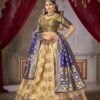 Traditional Women's Lehenga Choli Dupatta 1006