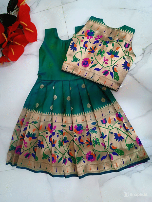 Green Paithani Jacket Frock Back