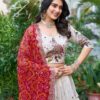 Red Tissue silk lehenga choli Left