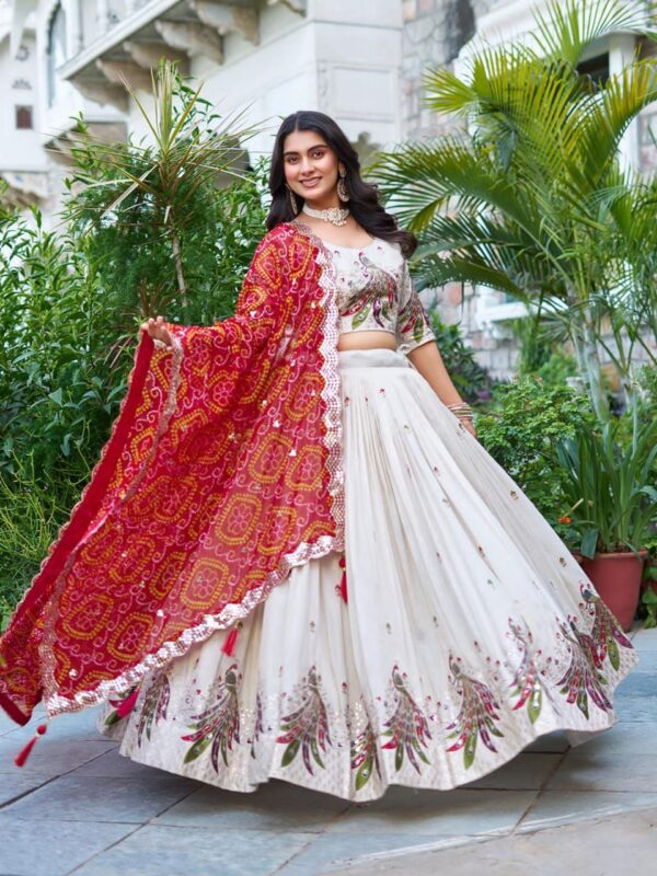 Red Tissue silk lehenga choli Right