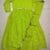 Parrot Green