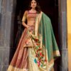 Brown Front Elegant Paithani Lehenga Choli for Weddings