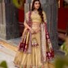 Gold Front Elegant Paithani Lehenga Choli for Weddings